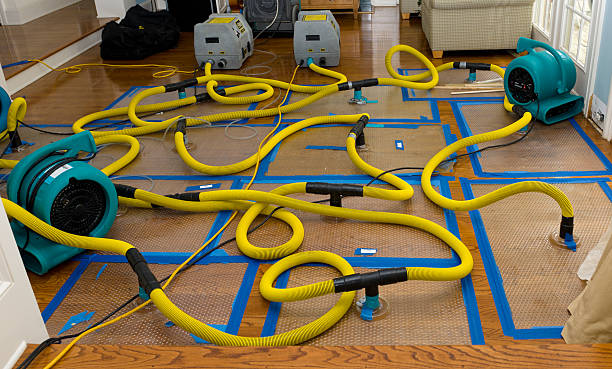 Professional Storm Water Damage Restoration technician working in Bedford, IN